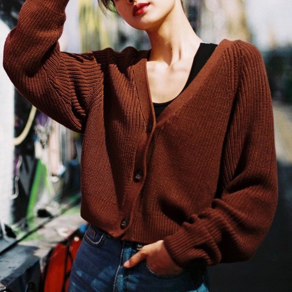 American Eagle brown cardigan